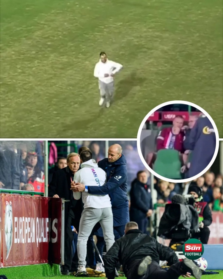 太陽報：在挪威和摩爾多瓦的比賽中，一球迷試圖沖入球場找哈蘭德